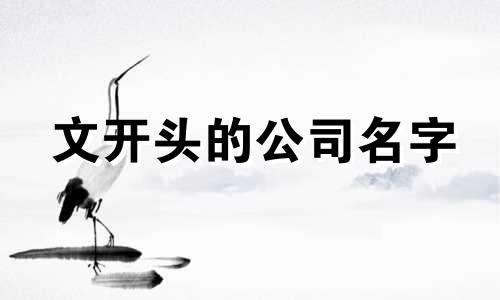 文开头的公司名字 文字开头的公司