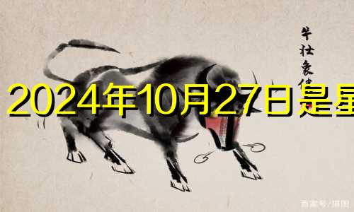 2024年10月27日是星期几 2020年10月24号五行穿衣