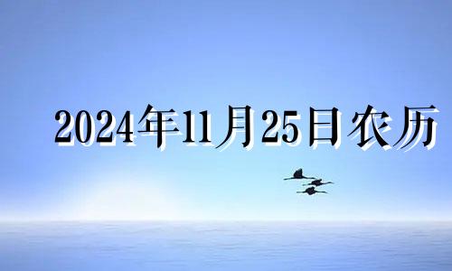 2024年11月25日农历 2024年11月5号