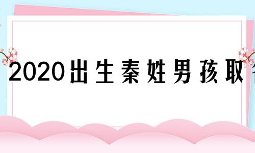 2020出生秦姓男孩取名 