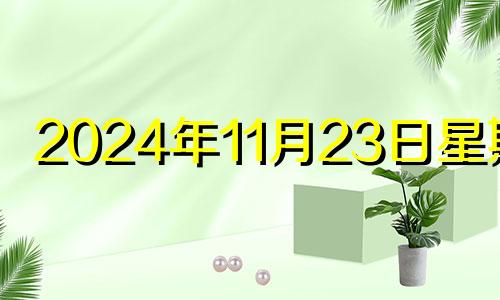 2024年11月23日星期几 2020年11月24日五行穿衣什么颜色