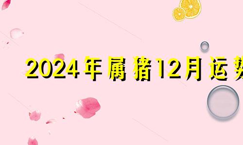 2024年属猪12月运势 12月14日五行穿衣旺运指南