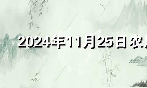 2024年11月25日农历 2020年11月25五行穿衣指南