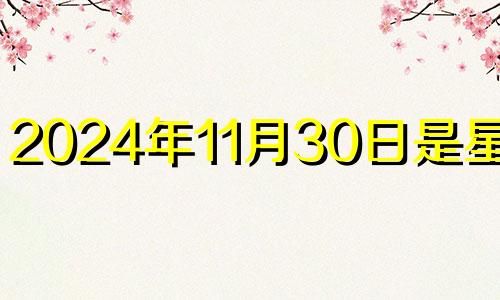 2024年11月30日是星期几 2020年11月14号幸运色