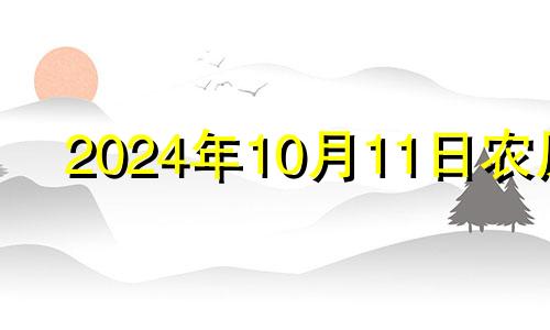 2024年10月11日农历 2024年10月10日是星期几