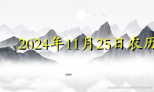 2024年11月25日农历 2024年11月25日五行穿衣颜色指南