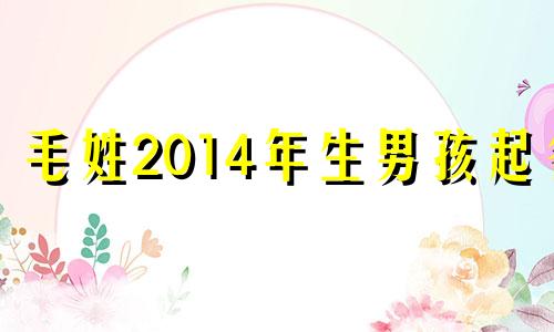 毛姓2014年生男孩起名 2024毛姓男孩名字大全