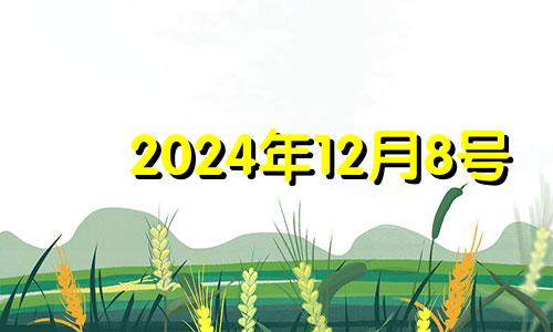 2024年12月8号 2024年十二月