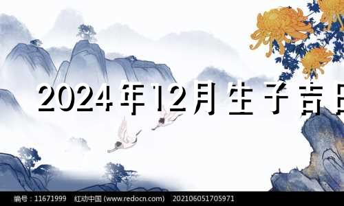 2024年12月生子吉日 2024年12月4日农历