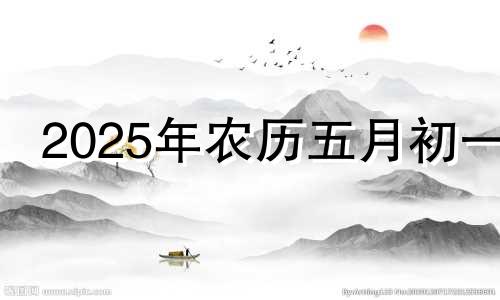 2025年农历五月初一 