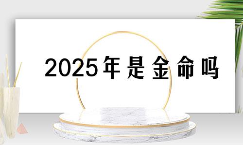 2025年是金命吗 2025年宝宝五行属性