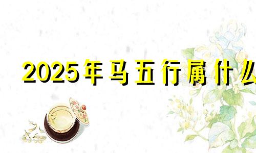 2025年马五行属什么 请问2025年属马的是什么命