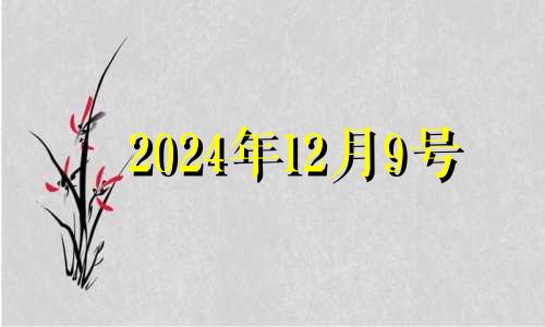 2024年12月9号 12月14日五行穿衣旺运指南