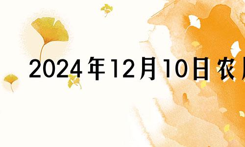 2024年12月10日农历 2024年12月日历表