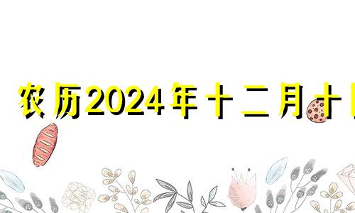 农历2024年十二月十四 2024年11月5日农历是多少