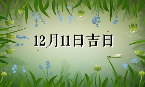 12月11日吉日 12月11日开业吉时