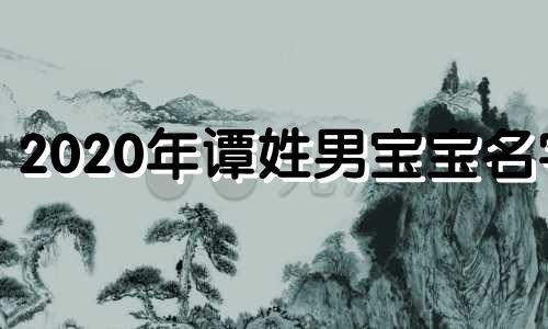 2020年谭姓男宝宝名字 2024年1月生的谭姓宝宝取名