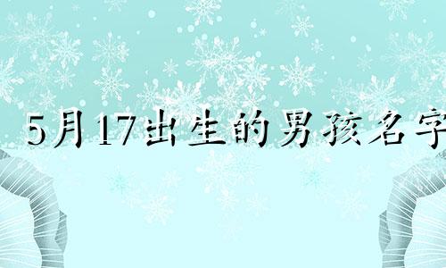 5月17出生的男孩名字