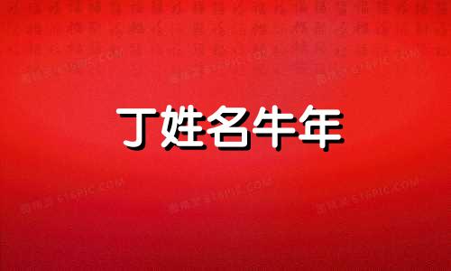 丁姓名牛年 宝宝姓丁取什么名字好