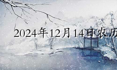 2024年12月14日农历 农历2020年十二月十四日子怎样