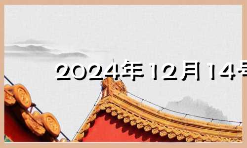 2024年12月14号 2024年十二月