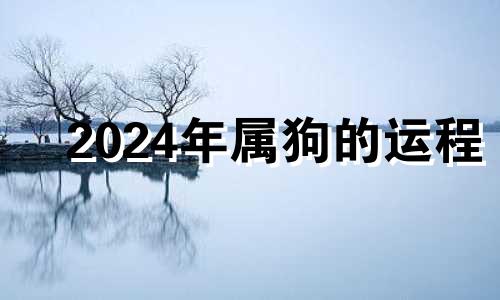 2024年属狗的运程 2024年生肖狗运势完整版