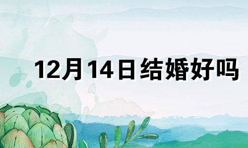 12月14日结婚好吗 十二月十四日结婚好不好