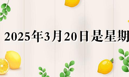 2025年3月20日是星期几 2025年的三月