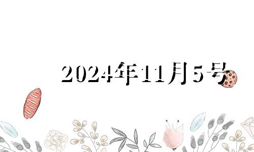 2024年11月5号 2024年11月11日星期几