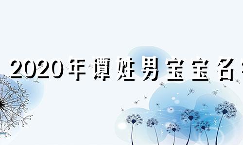 2020年谭姓男宝宝名字 牛年谭姓宝宝起名大全集