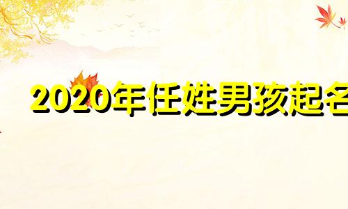 2020年任姓男孩起名 