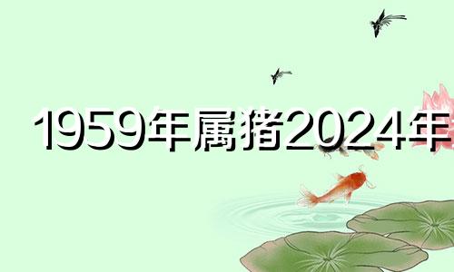 1959年属猪2024年运势 1959年猪2024年运势