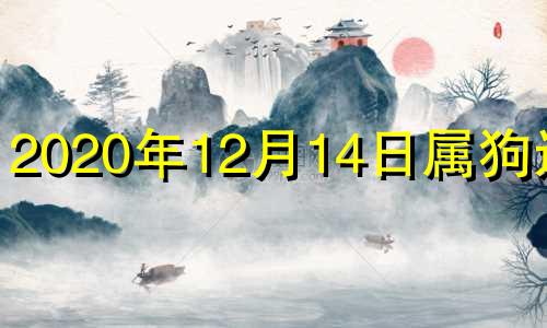 2020年12月14日属狗运势 2020年12月14日五行色穿衣查询