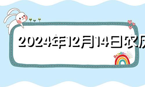 2024年12月14日农历 2024年冬月十四