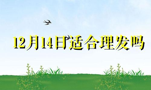 12月14日适合理发吗 2024年4月12日适合理发吗