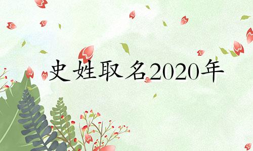 史姓取名2020年