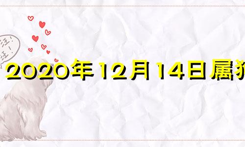 2020年12月14日属狗运势 2020年12月14日五行穿衣什么颜色