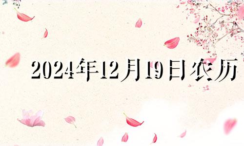 2024年12月19日农历 二零一九年十二月十四日黄历