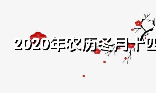 2020年农历冬月十四 2024年12月18日农历