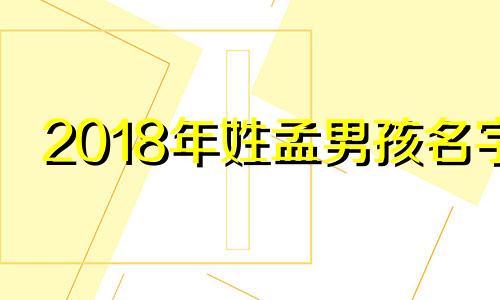 2018年姓孟男孩名字 21年姓孟男孩取名