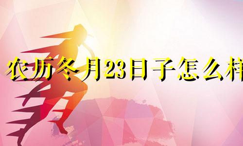 农历冬月23日子怎么样 2024年12月24日农历