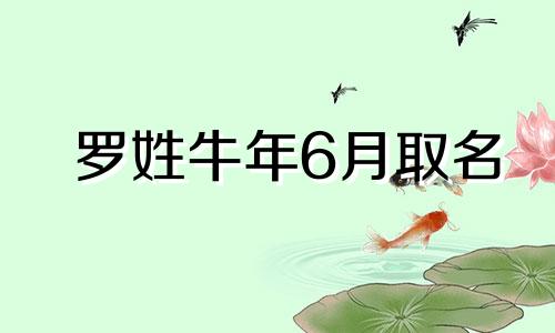 罗姓牛年6月取名