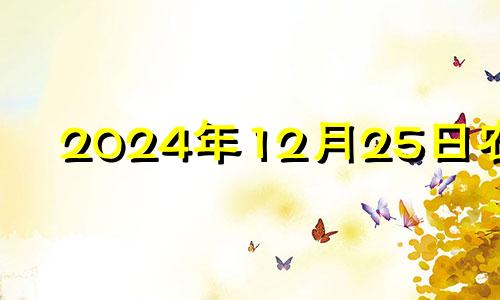 2024年12月25日农历 2024年12月日历表