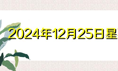 2024年12月25日星期几 2024年12月26日