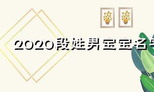 2020段姓男宝宝名字 段姓宝宝起名大全2024年