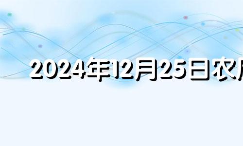 2024年12月25日农历 2024年12月星历表