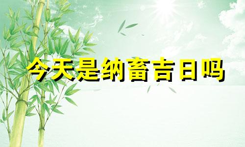 今天是纳畜吉日吗 今日适合纳畜吗