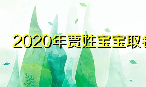 2020年贾姓宝宝取名 2024牛年贾姓男宝宝名字大全贾琛