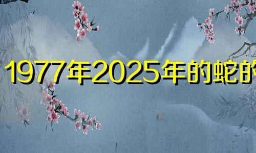 1977年2025年的蛇的运势 77年蛇未来三年会离婚吗