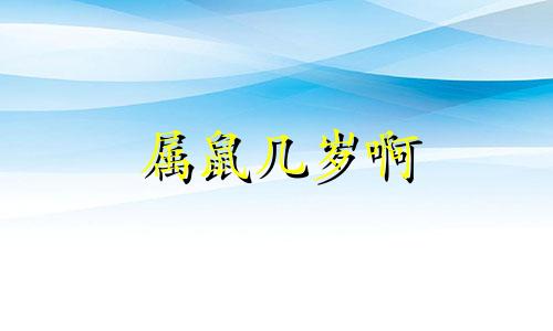 属鼠几岁啊 属鼠的多少岁最苦